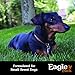 Eagle Pack Natural Dry Small Breed Dog Food, Chicken & Pork, 15-Pound Bag