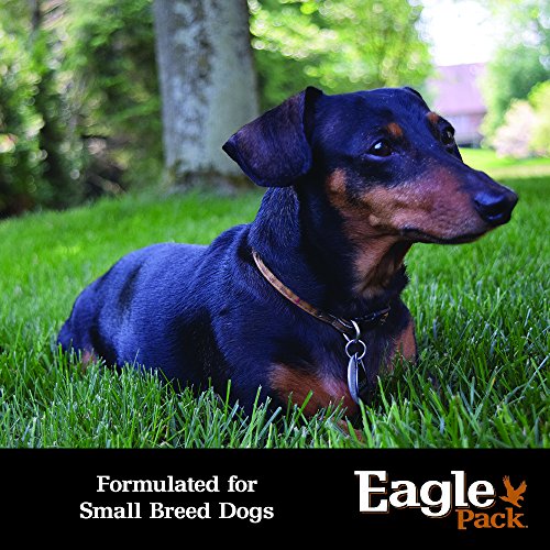 eagle pack small breed