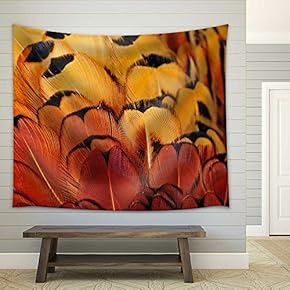 Pheasant Feather - Fabric Wall Tapestry Home Decor - 51x60 inches