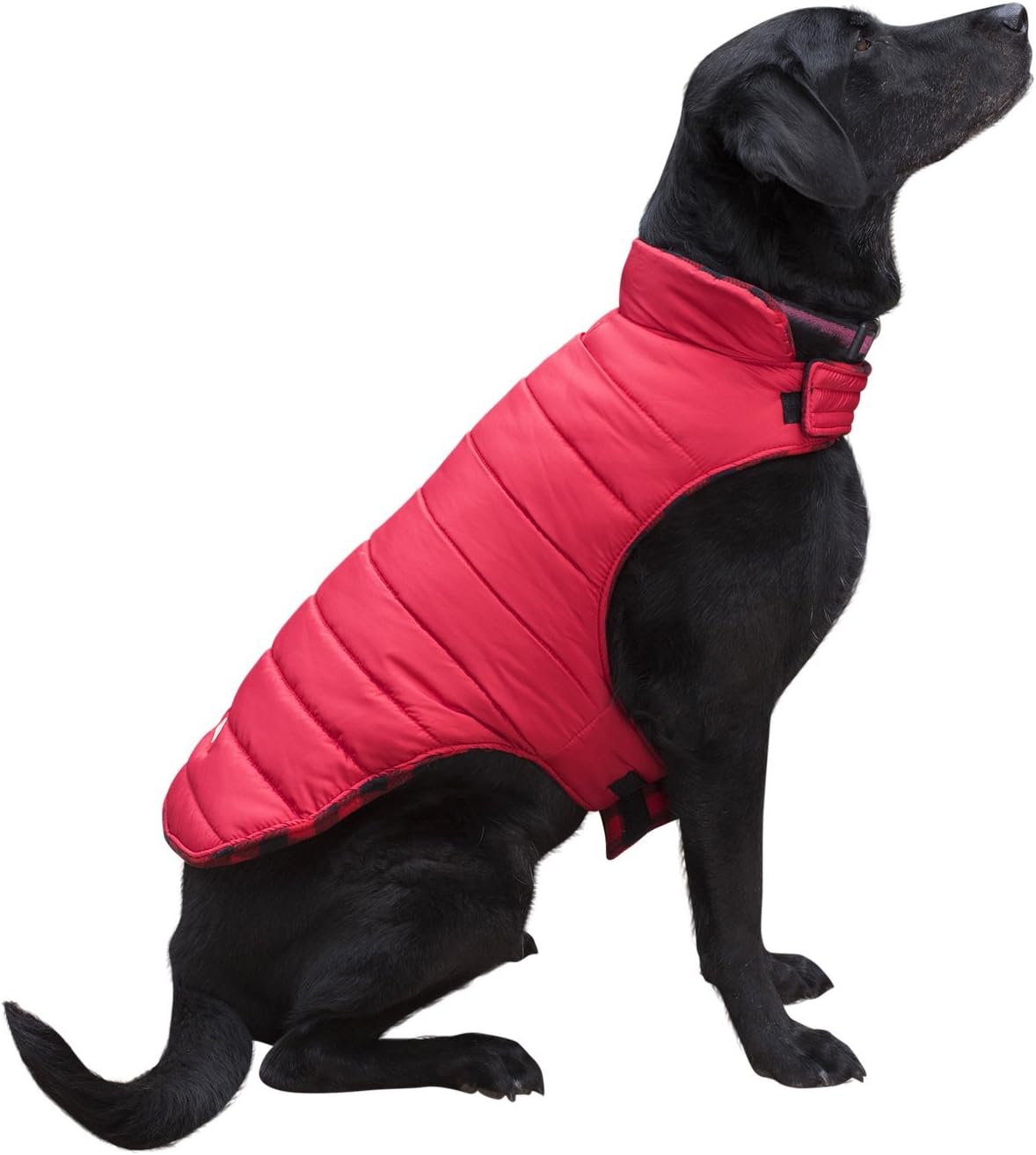 Coleman Dog Reversible Fleece Jacket, Red, Small 12