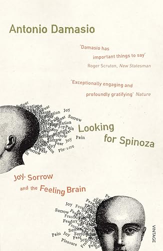 Download Looking For Spinoza: Joy, Sorrow and the Feeling Brain PDF