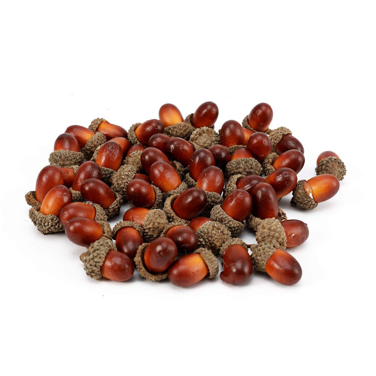 Liruis 50 PCS Simulation Artificial Lifelike Fruit Nutty-Brown Acorns Nuts Fall Table Scatter Crafting, Drawing,Home House Kitchen Autumn Decoration