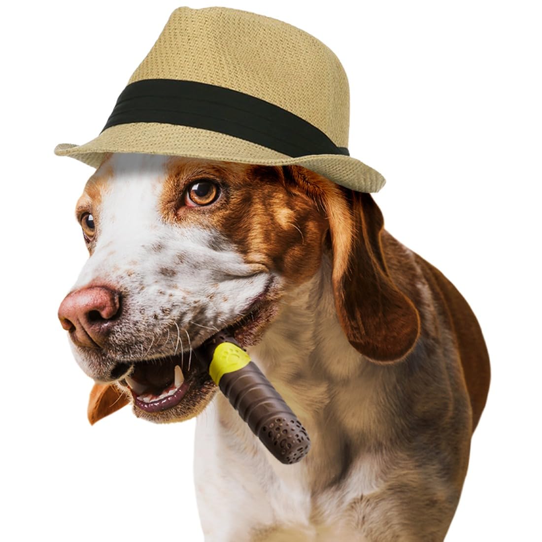 AmeizPet Beef Flavor Joint Dog Chew Toy for Medium/Large Breed Dogs, Indestructible Durable Long Lasting 100% Nylon Dog Chew Toy For Aggressive Chewers - Funny Cigar Dogs Toy to Keep Them Busy