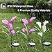 Aloudy Solar Garden Stake Lights, Upgraded 3 Pack Outdoor Waterproof Solar Powered Lights with 12 Calla Lily Flowers, 7 Colors Changing LED Solar Lights for Garden, Patio, Backyard(Purple and White)