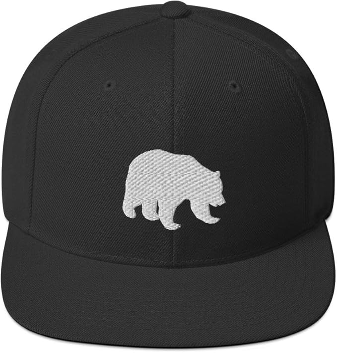 teddy bear snapback