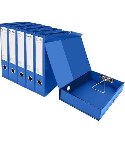 Amazon.com: Leitz Premium archive box with flap, 10 pieces, 100