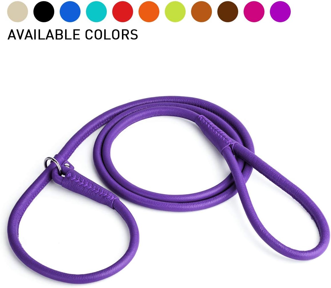 Dogline Rolled Leather Dog Slip Lead for Small, Medium