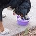 Prima Pet Expandable / Collapsible Silicone Food & Water Travel Bowl with Clip for Medium & Large Dog, Portable and Durable Pop-up Feeder for Convenient On-the-go Feeding, Size: 5 Cups (7 Inch Diameter Bowl) (LARGE (5 CUPS), PURPLE)