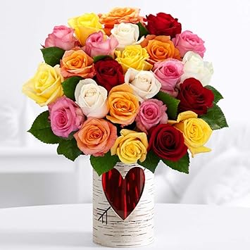 Amazon Com Proflowers Roses Two Dozen Valentine S Day Rainbow