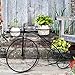 Kshioe Bicycle Plant Stand Holder Rack Ideal for Indoor Outdoor, Blackthumb 4