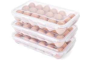 HAKSEN 3 Pack Egg Cartons Reusable, Plastic Egg Holder Camping Covered Egg Holders For Refrigerator Clear Egg Storage Container with Lid for 54 Eggs