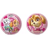 paw patrol outdoor toys