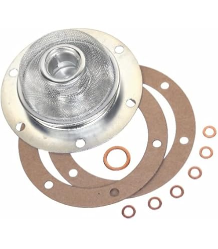 Amazon.com: EMPI Inline Fuel Filter, Box of 10, Compatible with 