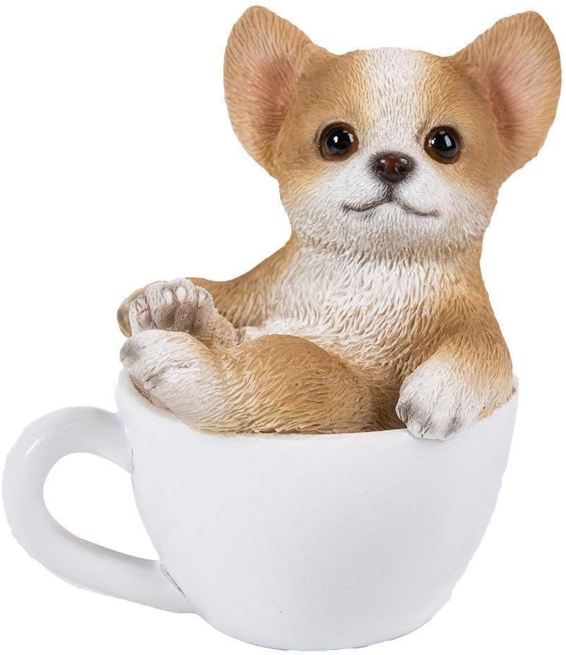 mini teacup chihuahua puppies
