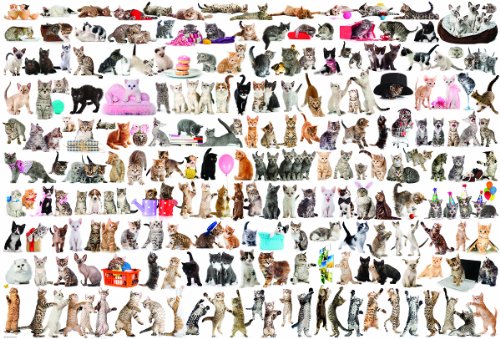 EuroGraphics The World of Cats Puzzle (2000-Piece)