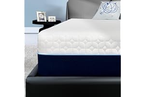 Gelsea Cooling Gel Memory Foam Mattress Made in USA,Hybrid Mattress with Breathable Cover,Bed in a Box,Pressure Relieving,CertiPUR-US Certified (10 Inch, Queen (U.S. Standard))