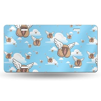 Amazon Com Yiikbrt Green Day Flying Feathers Aluminum License
