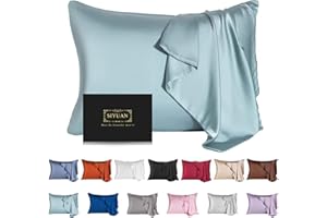 SIYUAN Mulberry Silk Pillowcase for Hair and Skin - Cooling Silk Pillow Case with Hidden Zipper, Allergen Proof Dual Sides Soft Breathable Smooth Silk Pillow Cover for Women (Aqua Blue)