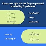 LAMY Safari Umbra Fountain Pen with Ergonomic Grip & Steel Nib B view 5