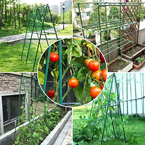 BLIKA 3 Pack 4FT Tomato Cages, Garden Plant Support, Assembled Plant
