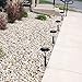 GIGALUMI Solar Lights Outdoor Garden Led Light Landscape/Pathway Lights Copper- 6 Pack