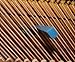 MiriamSong Piano Tuning Tuner Kit-The Best Tuner Set Including Universal Star Head Hammer, Mute tools, Felt Temperament Strip and Case