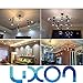 Luxon 4w G80 Led Bulb with Mirror, E26 Medium base,Half Chrome Siliver Globe Shape Bulb ,Energy Saving Warm White 2700k, Non-dimmable