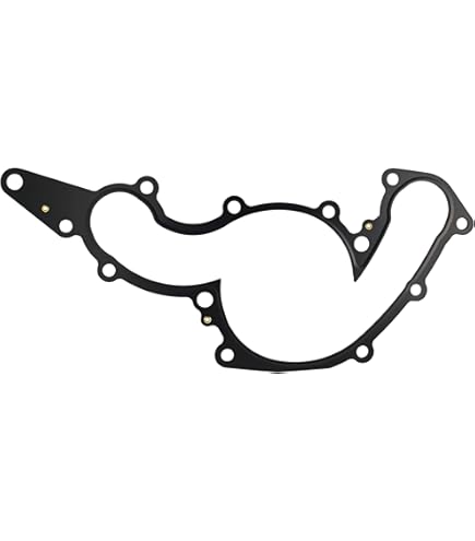 Amazon.com: FEL-PRO 35552 Water Pump Gasket : Automotive