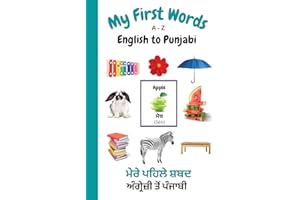 My First Words A - Z English to Punjabi: Bilingual Learning Made Fun and Easy with Words and Pictures (My First Words Language Learning Series)