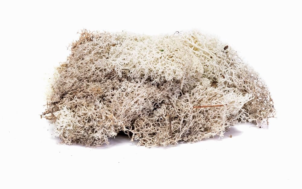 Hornby R7193 Lichen - Stone Grey for Model Railway OO Gauge, Model Train Accessories for Adding Scenery, Dioramas, Woodland, Buildings and More, Model Making Kits - 1:76 Scale Model Accessory