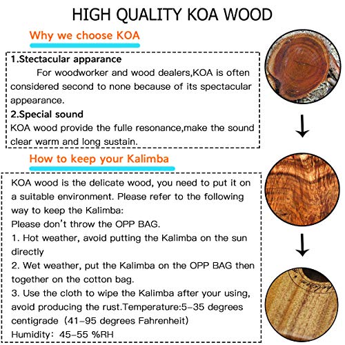 5 Kalimba+Helesin+Instruction+Mar%25C3%25ADmbula+Keyboard