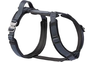 PAWS PASSION CLEPAWS Dog Harness for Small Dogs, No Pull Dog Harness Easy Walk with Metal Hardware, Ergonomic Y-Shaped Design, Soft Padding, Padded Handle, Durable High-Tensile Nylon (Nightfall, S)