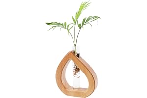 Chonsun Propagation Stations Planter Terrariums Wall Hanging Test Tube Desk decorations with Wooden Stand Plant Terrarium Office Decor Gifts for Plant Lover Gifts