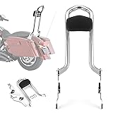Mofun 27" Tall Sissy Bar Detachable Passenger