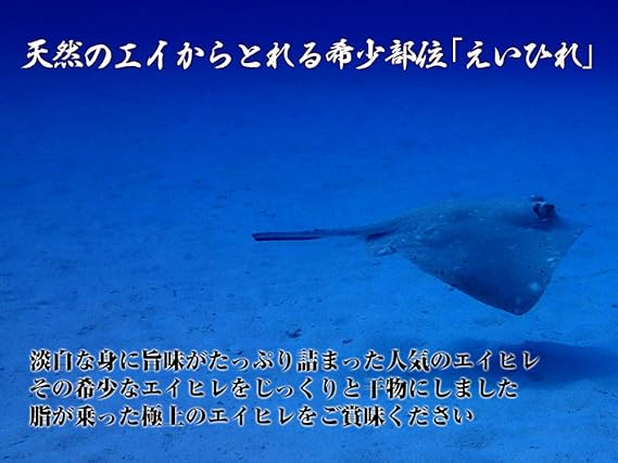 70以上 えい 画像 2760 エイ 画像 怖い Homesgazojp