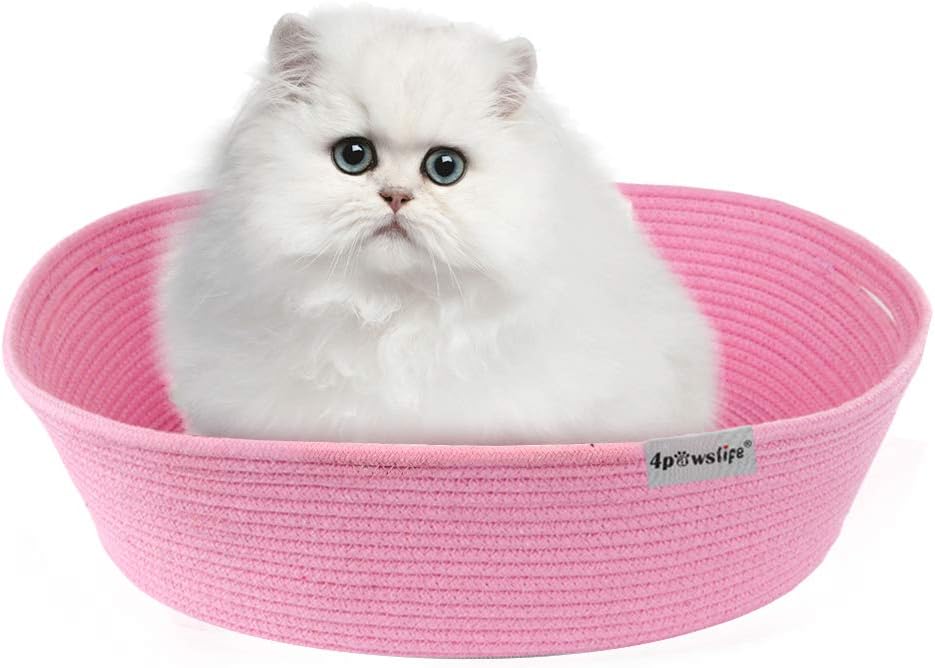 cotton cat bed