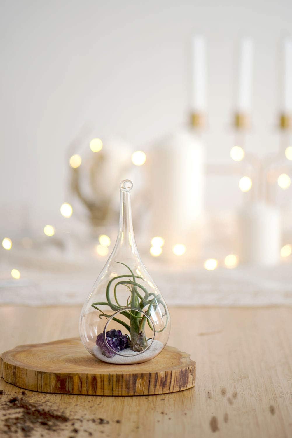 Mkono 3 Pack Glass Hanging Planter Air Fern Holder Terrarium Plants Hanger Vase Home Christmas Decoration Gift Idea for Succulent Moss Tillandsias Air Plants, Olive, Globe and Teardrop: Garden & Outdoor