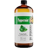 Natures-Star 16oz Peppermint Essential Oil (16 Ounce Total), Therapeutic Grade, Peppermint Oil for Diffuser, Candle Making, Aromatherapy