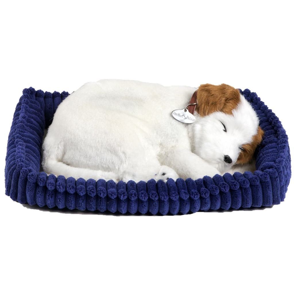 perfect petzzz rottweiler