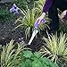 Radius Garden 10203 Ergonomic Aluminum Hand Weeder, Purple