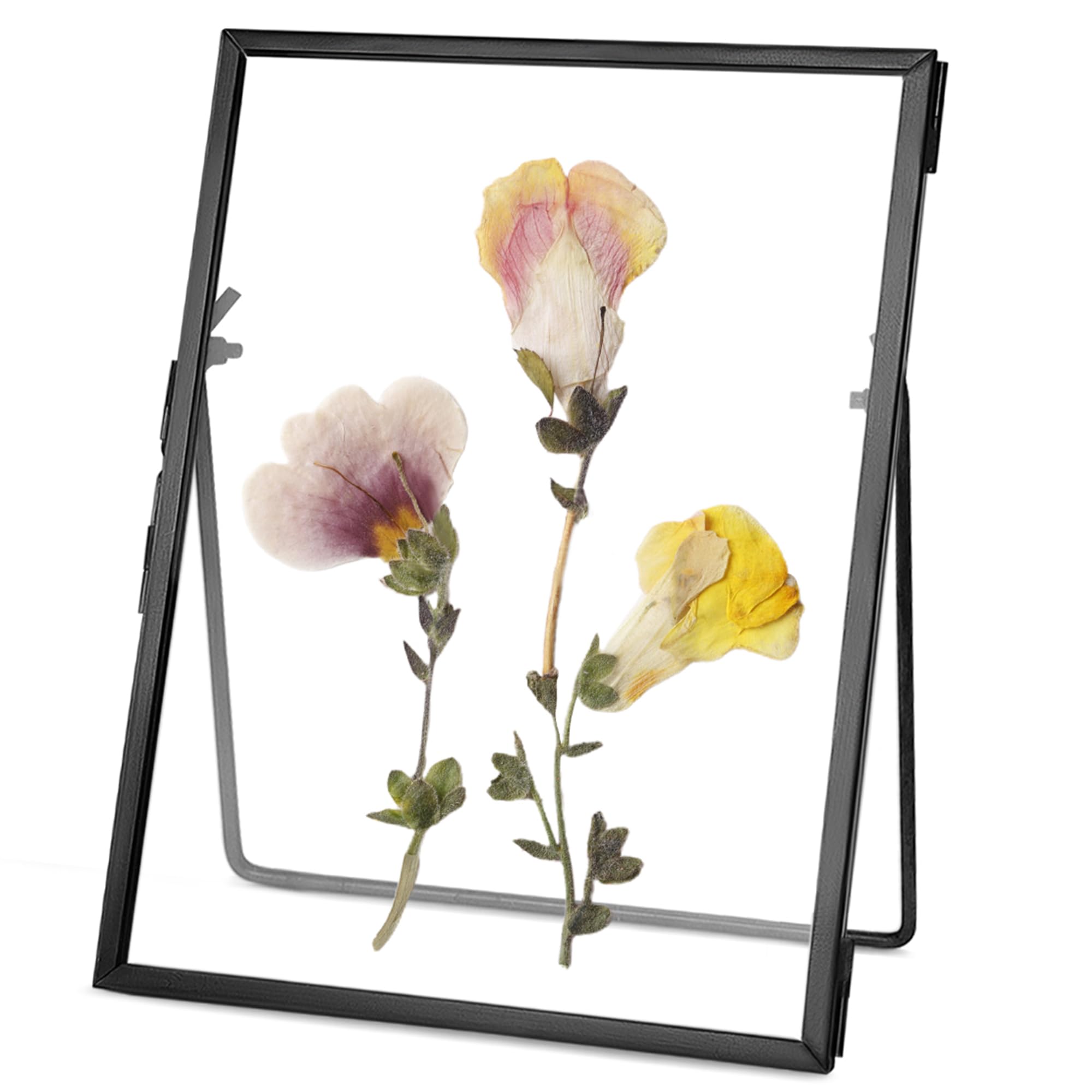 Photo 1 of REDHUGO Glass Pressed Flower Frame Handmade, Floating Picture Frames for Pressed Flowers, Tabletop Artwork Photo Frames, Brass Desk Picture Frame for Home Office Plant Specimen, Black, 4x6 Inches