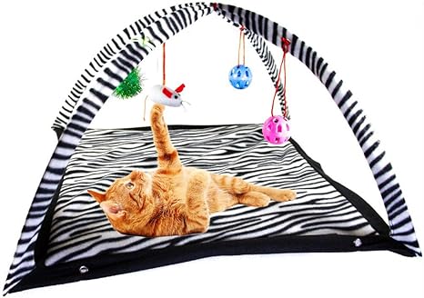 trendy cat toys