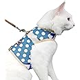 Yizhi Miaow Cat Harness and Leash for Walking Escape Proof, Adjustable Cat Vest Harness, Padded Stylish Cat Walking Jackets, Polka Dot Blue, X-Small
