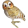 Old World Christmas 18067 Glass Blown Ornaments for Christmas Tree Pygmy Owl, Brown, White