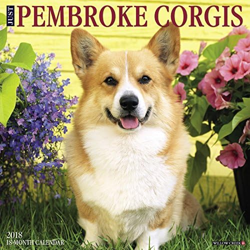 Just Pembroke Corgis 2018 Calendar Calendar – Wall Calendar, July 10, 2017