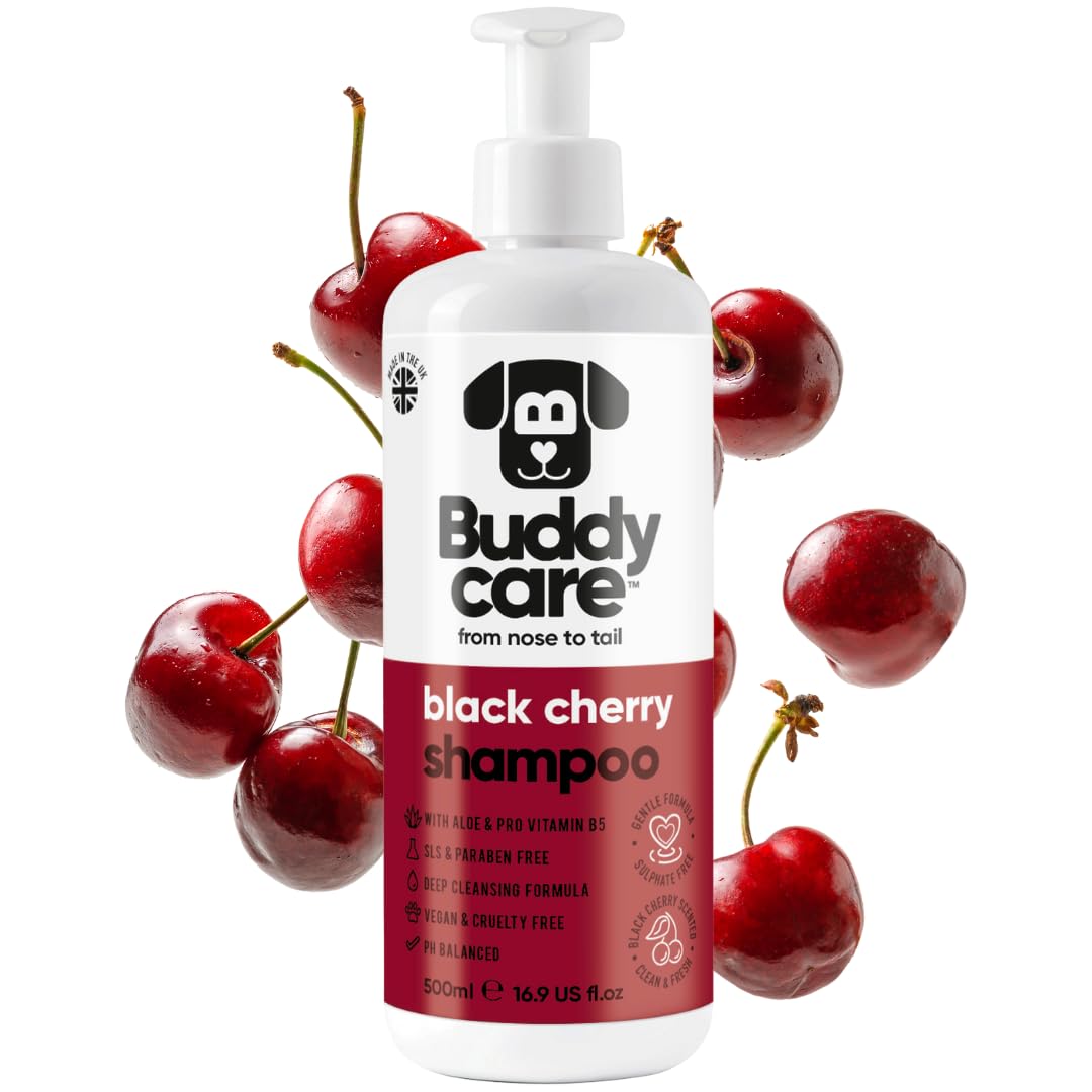 Black Cherry Dog Shampoo by Buddycare | Deep Cleansing Shampoo for Dogs | Black Cherry Scented | With Aloe Vera and Pro Vitamin B5 (500ml)