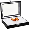Juvale Insect Display Case with Clear Glass Top, EVA Foam Pinning Board Riker Mount for Collecting Butterflies and Bugs, Public Exhibits, Museums, Science Centers (Black, 8x1.8x6 in)