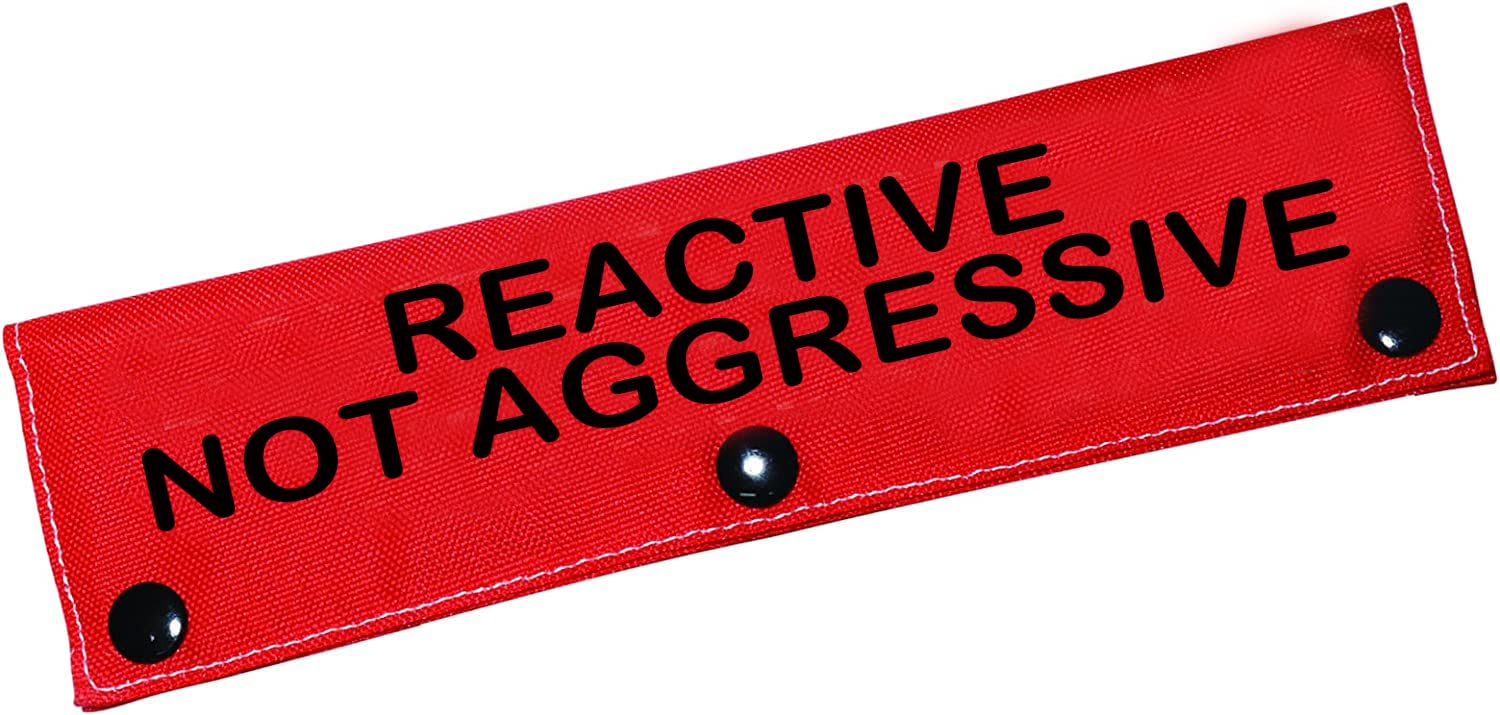 Funny Service Dog Leash Sleeve Reactive Not Aggressive Dog Leash Wrap for Pets (Not Aggressive-Sleeve) — image 1