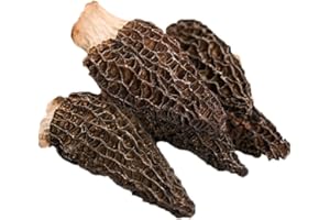 Dried Morel Mushrooms,Morchella Conica,Morels,Morel Mushroom,Morchella Importuna,Mushroom,morel; Hickory Chick;Morchella Escu