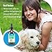 Hemp Oil for Dogs and Cats - Organic Dog Hemp Oil for Anxiety Relief, Calming and Joint Health - Easily Apply to Treats - Grown in USA